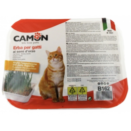 Spray d'herbe à chat pour chatons, spray d'herbe à chat, naturel pur,  organique, jouets