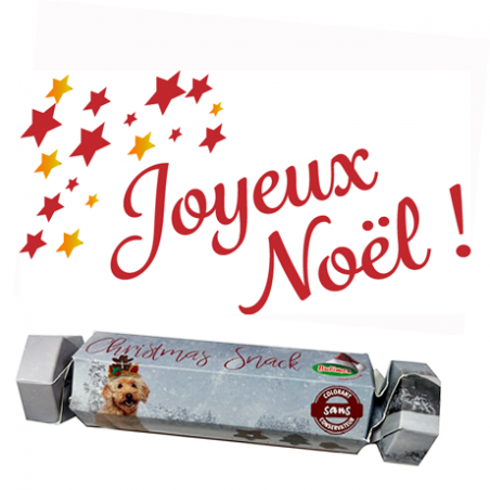 Crackers de Noël pour chien